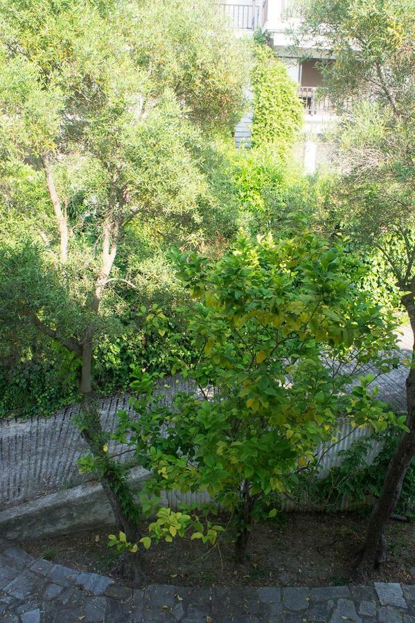 Possidi Aigaiopelagitika 2-Floor Beach House Kalandra Exterior photo